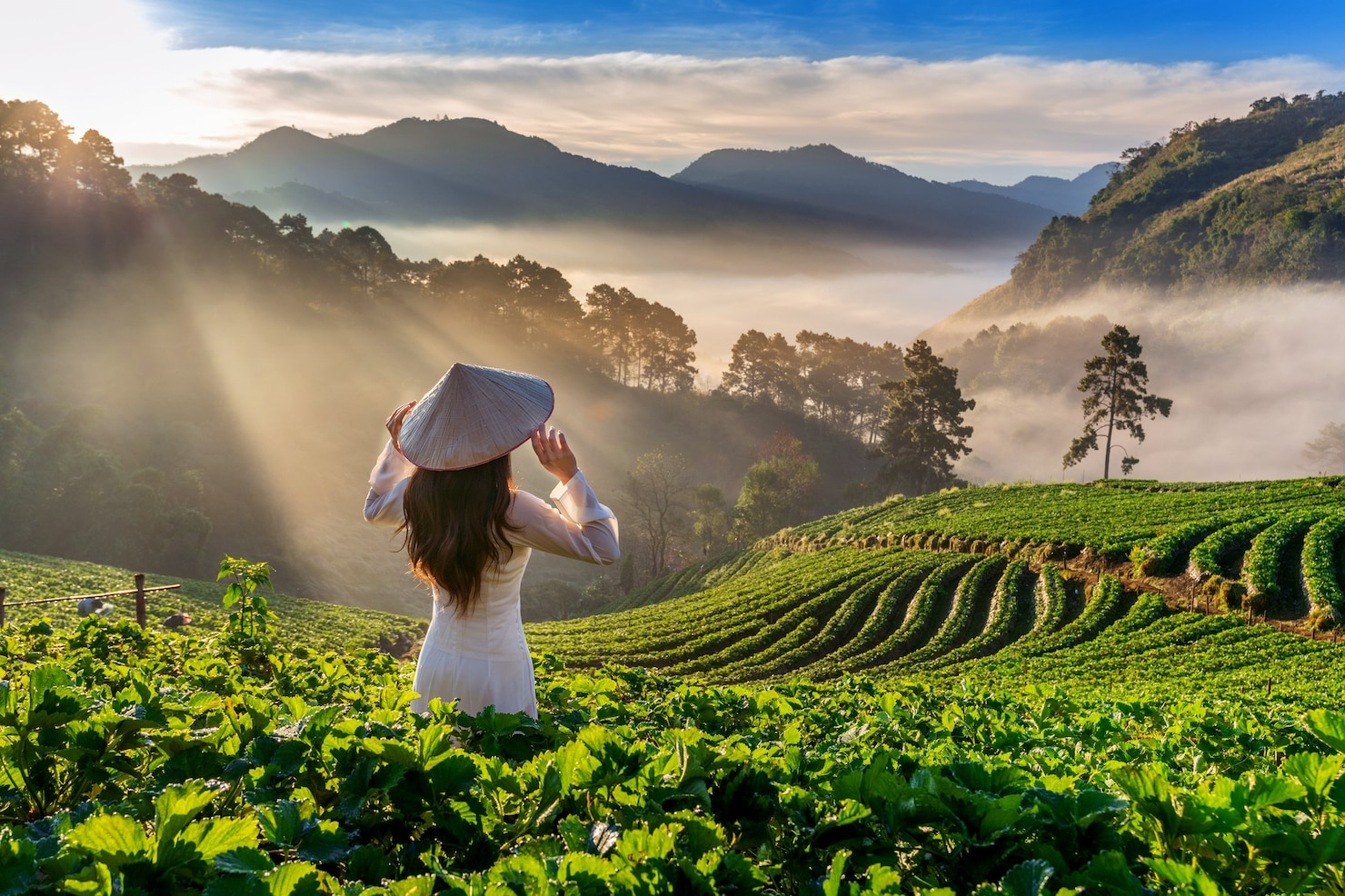 vietnam